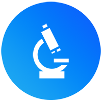 Auditoria SEO